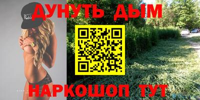 стаф Нальчик